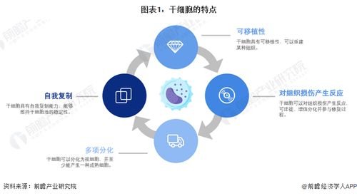 干細(xì)胞技術(shù)前沿預(yù)測 裴鋼院士強調(diào)生物醫(yī)藥產(chǎn)品開發(fā)需融合網(wǎng)絡(luò)技術(shù)的三大核心要素