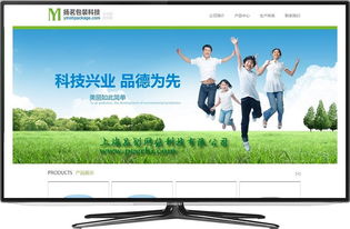 奉賢網絡技術開發 從網站建設到移動端微網站的系統構建指南