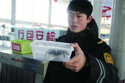 青島車站行李安檢機掃描發(fā)現毒蜘蛛[圖]